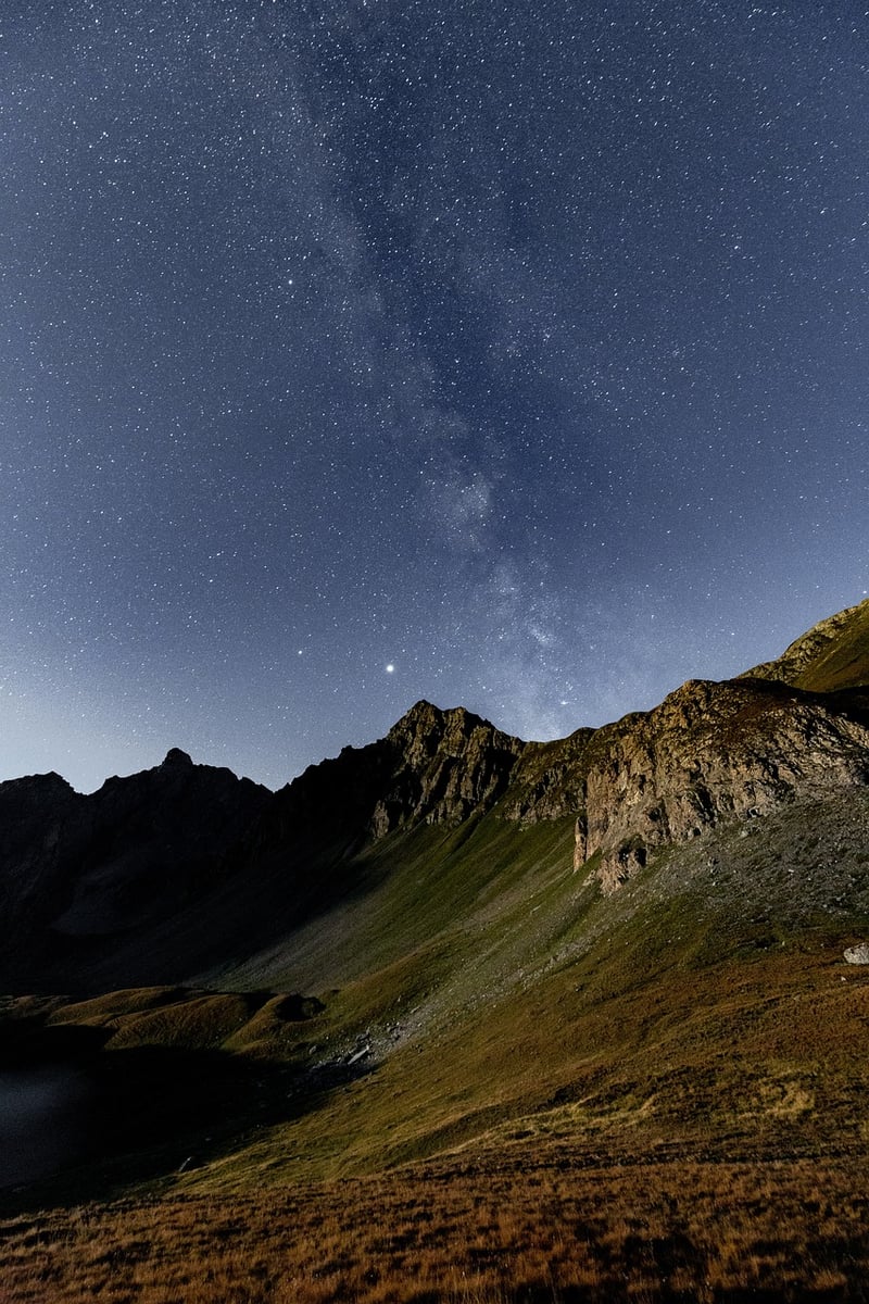 Starry Delights